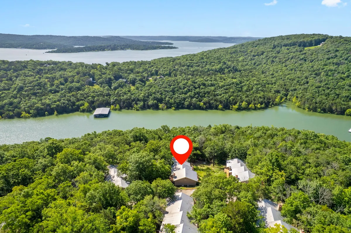 Lush greenery surrounds a calm body of water with distant hills, illustrating serene lakeshore exploration and the natural environment. The scene hints at accessible areas for leisurely walks, picnics, or adventures with a pet.
